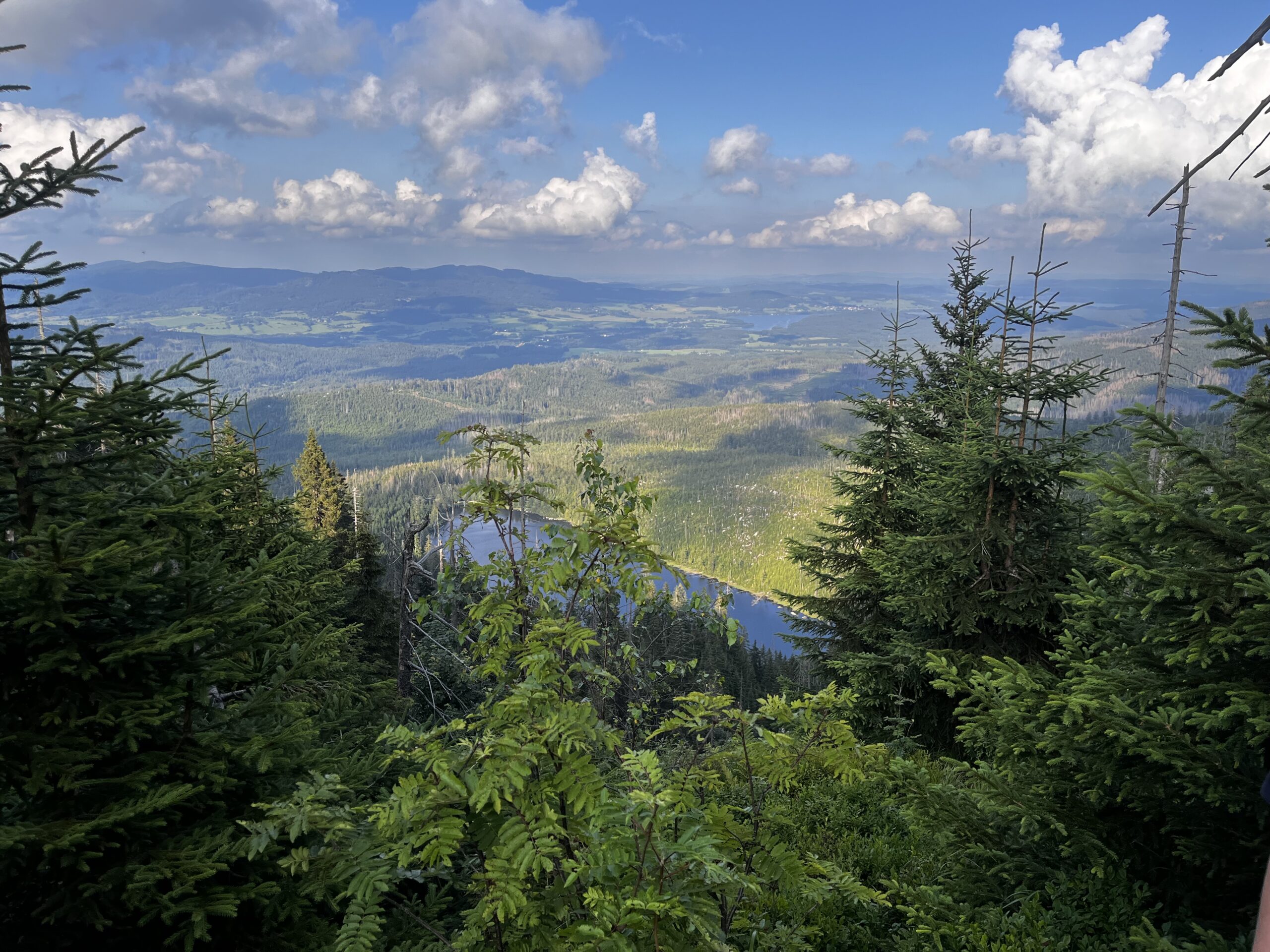 Aussicht auf ein Tal im Böhmischen Wald